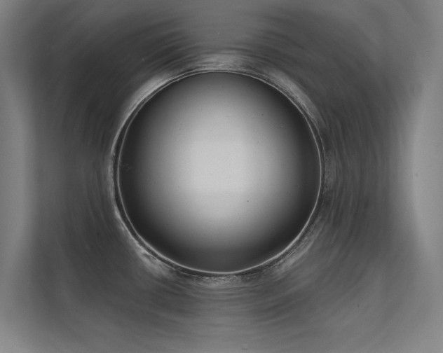 X0000112001434200908101313