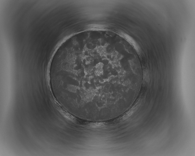 X0000112001435200908101313