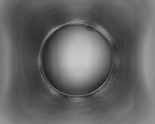 X0000112001436200908101313