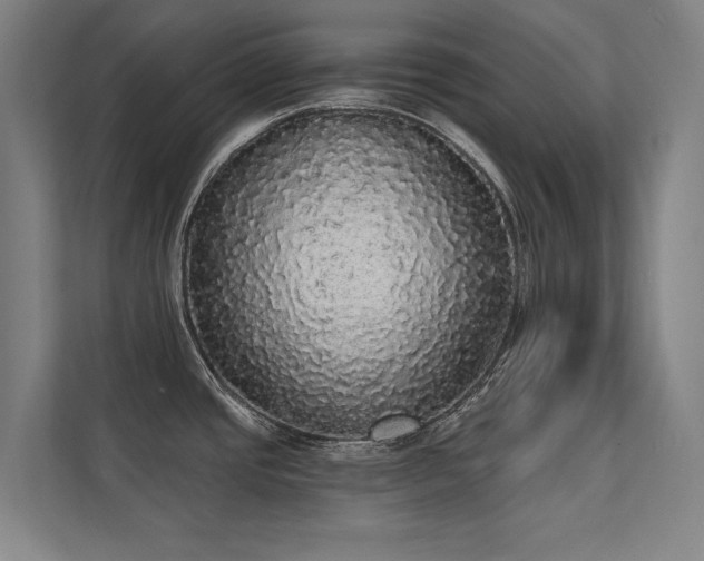 X0000112001437200908101313