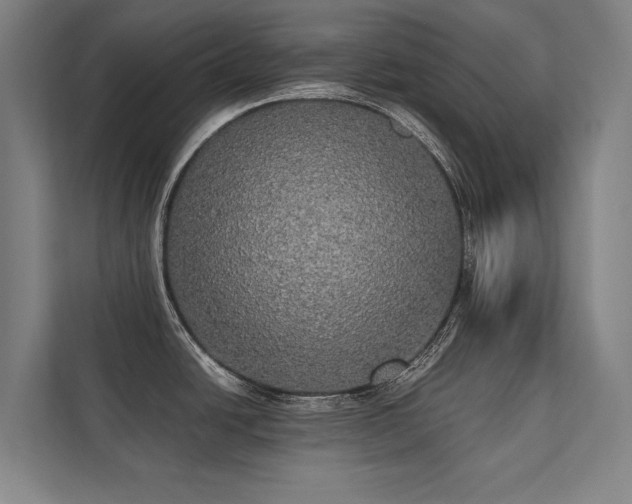 X0000112001438200908101313