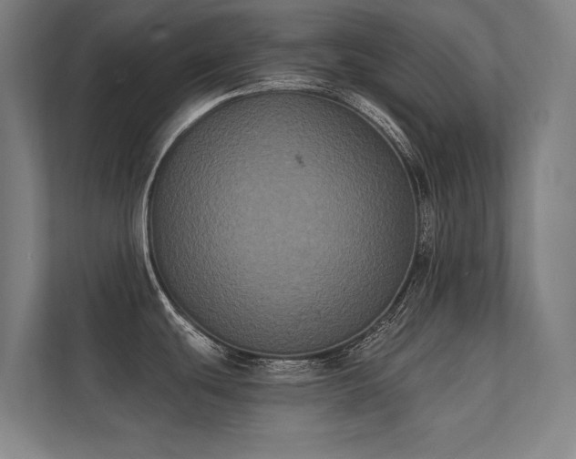 X0000112001439200908101313