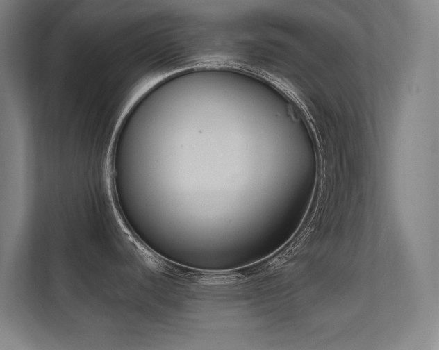 X0000112001440200908101313