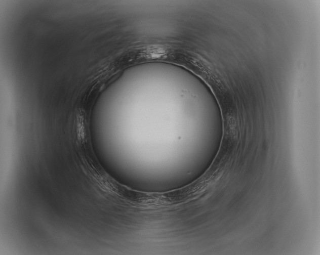 X0000112001442200908101312