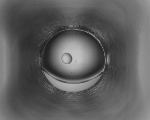 X0000112001444200908101312