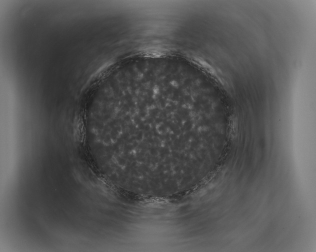 X0000112001446200908101312