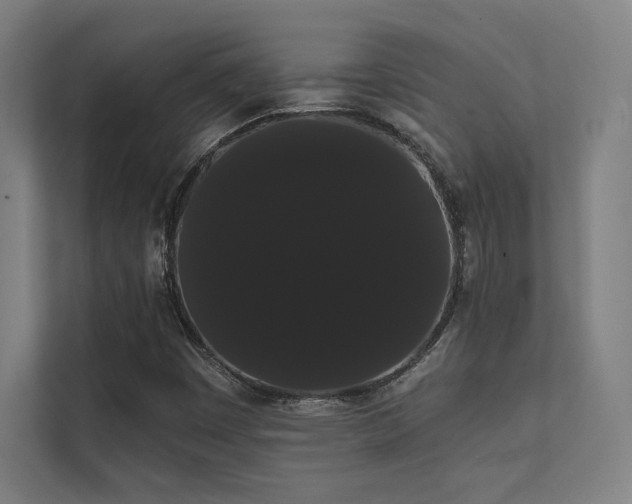 X0000112001449200908101312