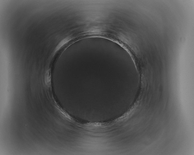 X0000112001450200908101312