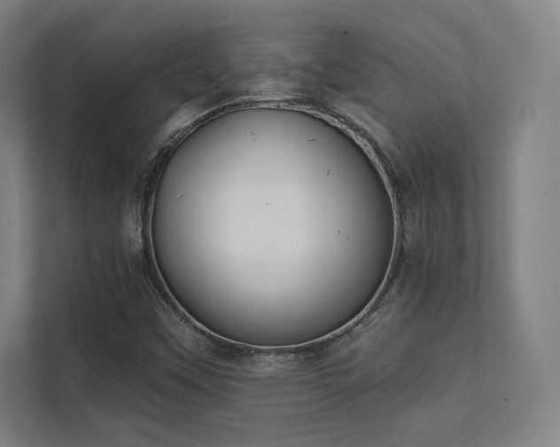 X0000112001451200908101312