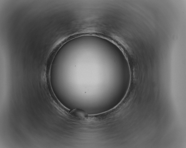 X0000112001452200908101312