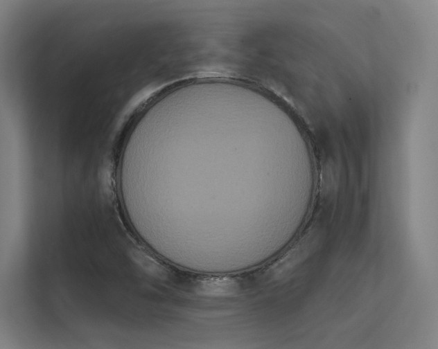 X0000112001454200908101312