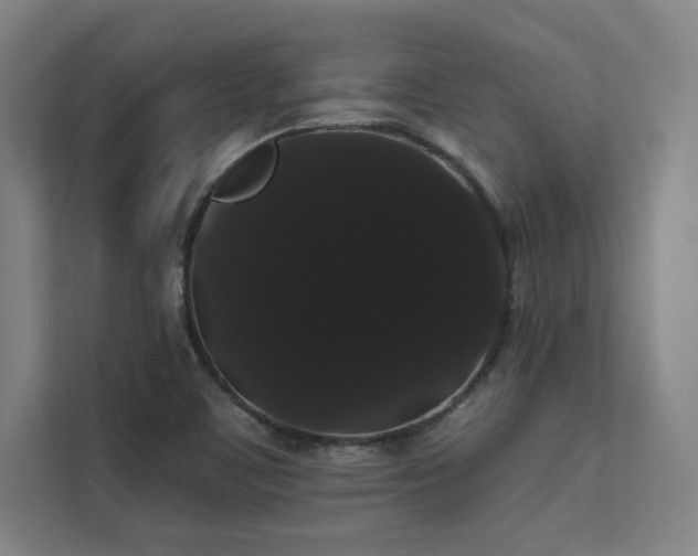 X0000112001459200908101312