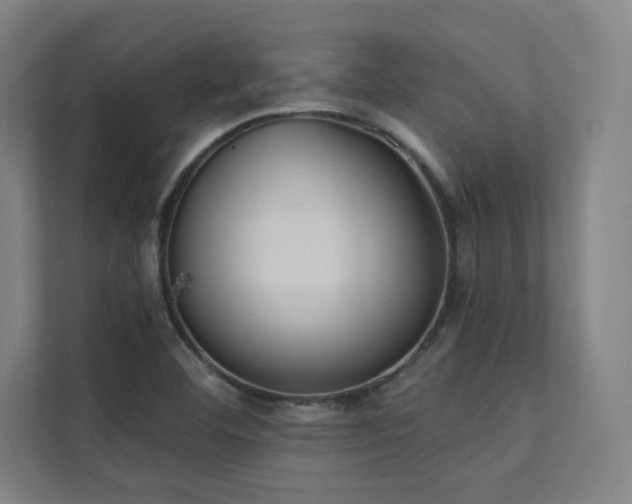 X0000112001460200908101312