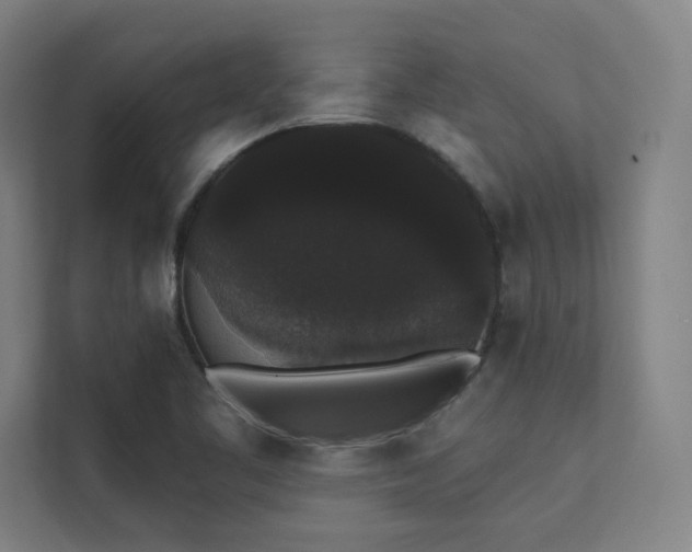 X0000112001461200908101312