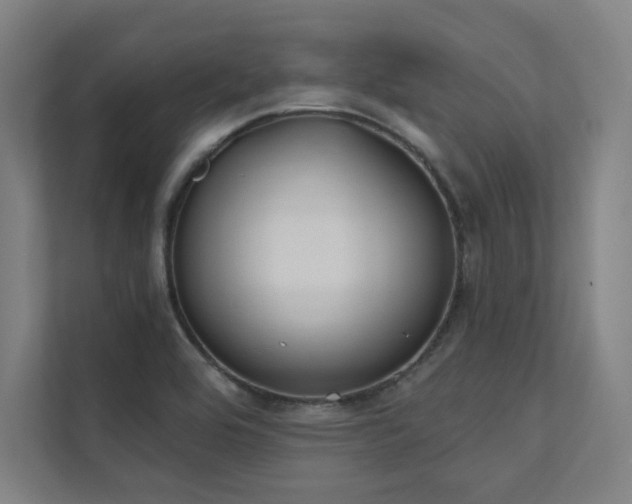 X0000112001464200908101312