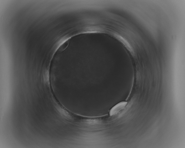 X0000112001465200908101312