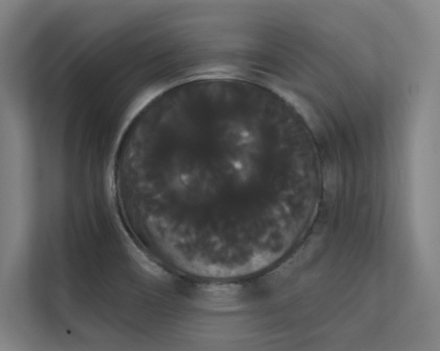 X0000112001466200908101312