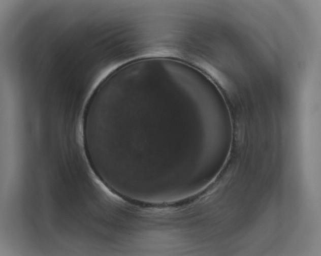 X0000112001468200908101312