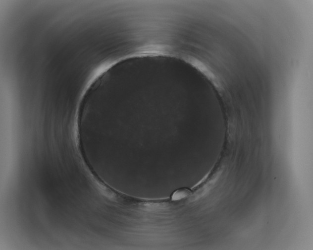 X0000112001469200908101312