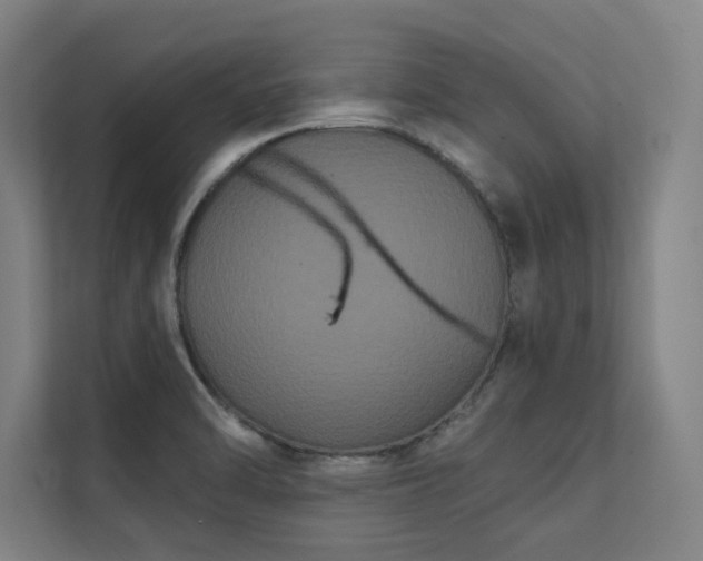 X0000112001470200908101312