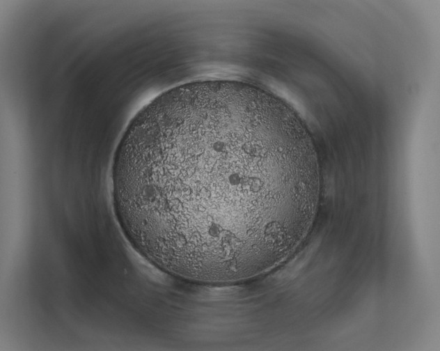 X0000112001471200908101312