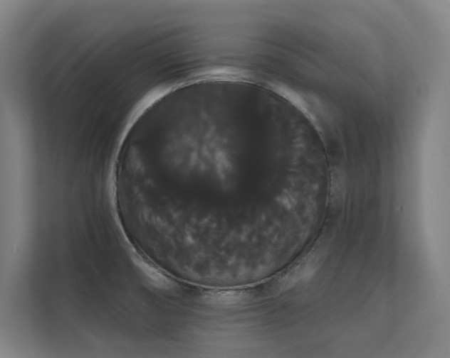 X0000112001474200908101312