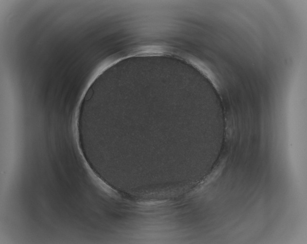 X0000112001475200908101312