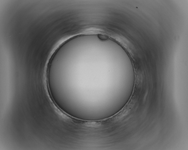 X0000112001478200908101312