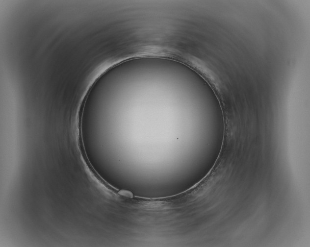 X0000112001479200908101312