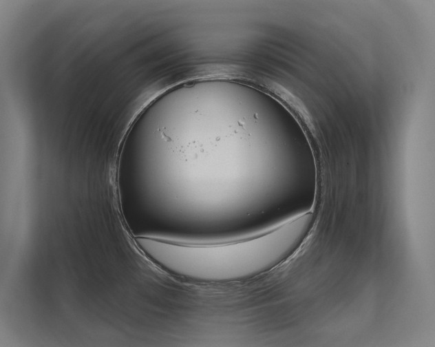 X0000112001481200908101312