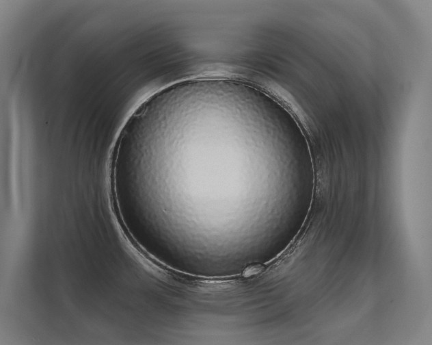 X0000112001483200908101312