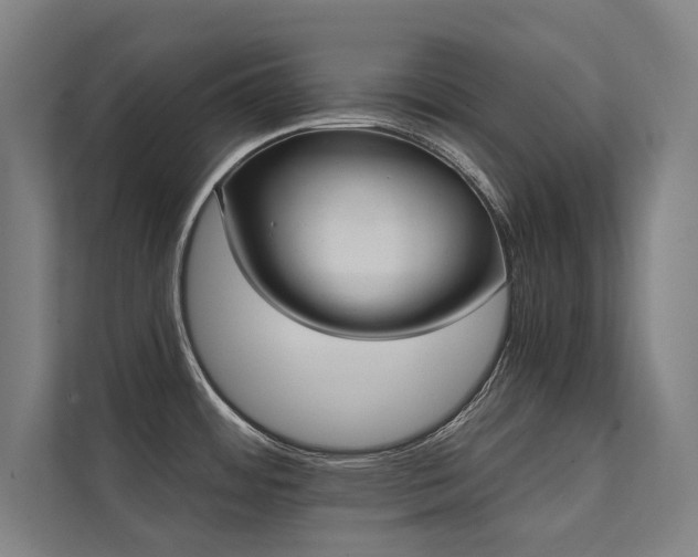 X0000112001484200908101312