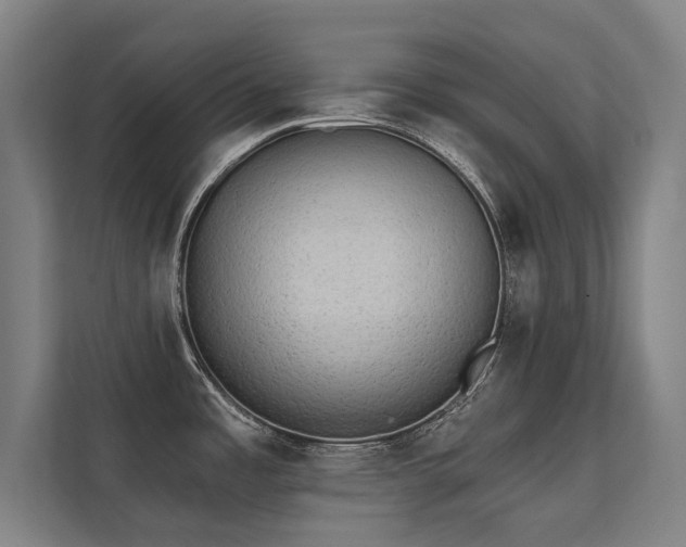 X0000112001485200908101312