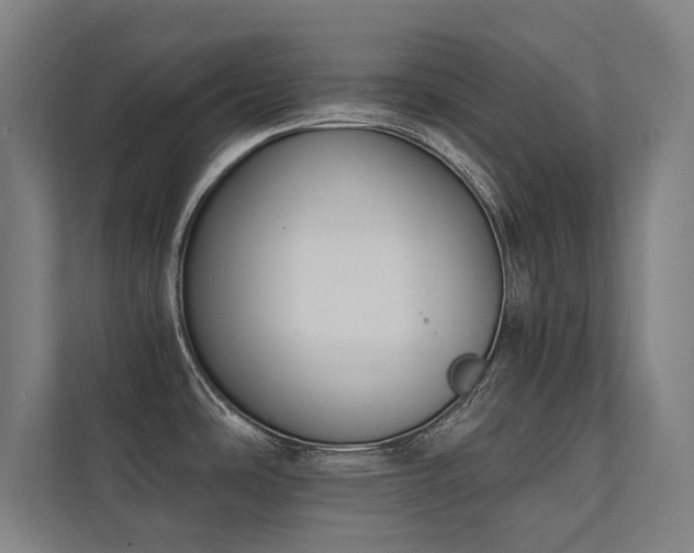 X0000112001486200908101312