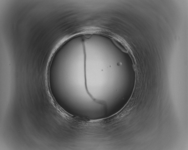 X0000112001488200908101312