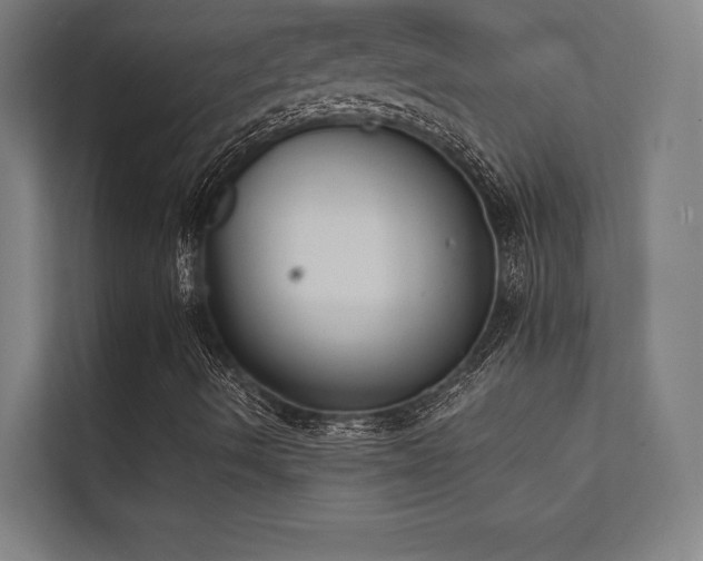 X0000112001490200908101311