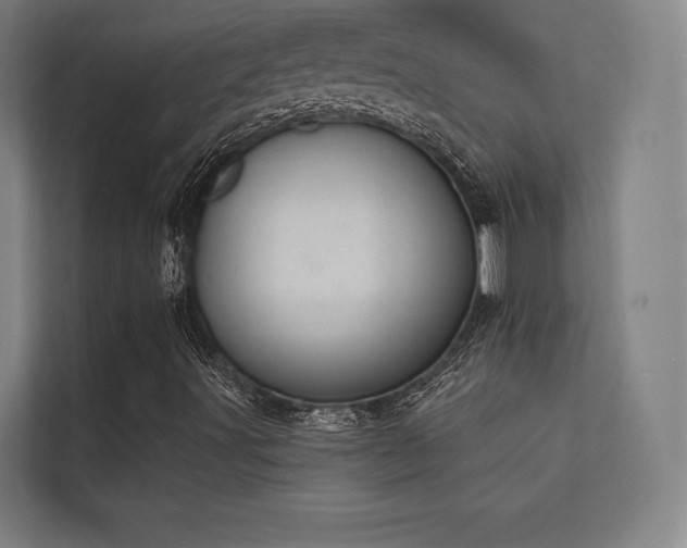 X0000112001491200908101311