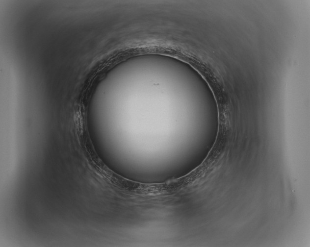 X0000112001493200908101311