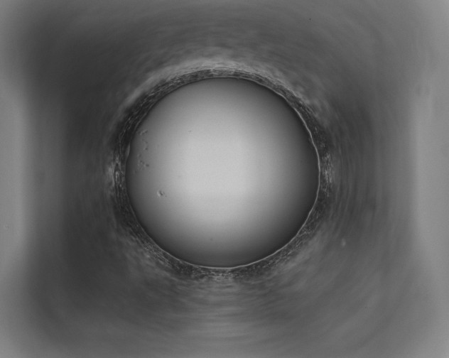 X0000112001495200908101311