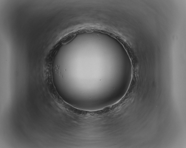 X0000112001496200908101311