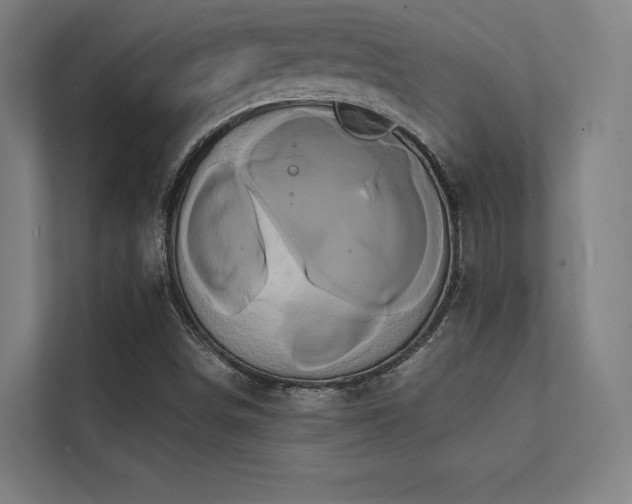 X0000112001498200908101311