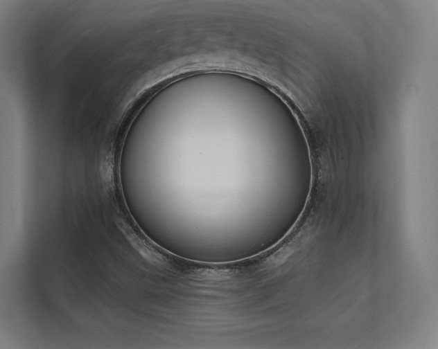 X0000112001499200908101311