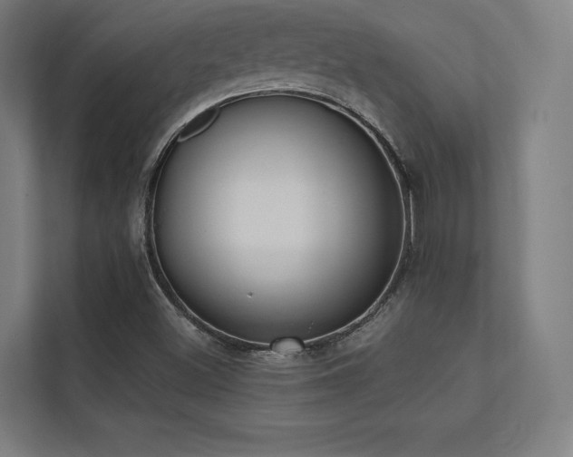 X0000112001500200908101311