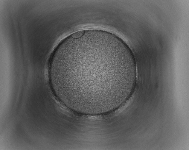 X0000112001501200908101311