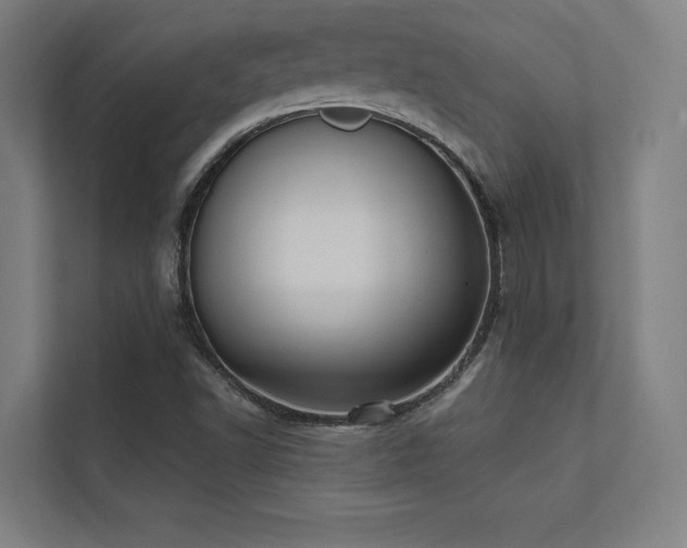 X0000112001502200908101311