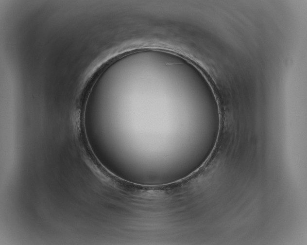 X0000112001503200908101311