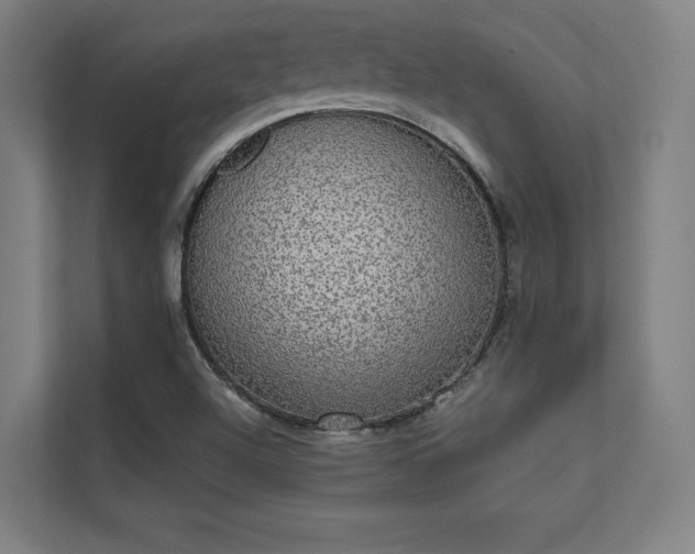 X0000112001504200908101311