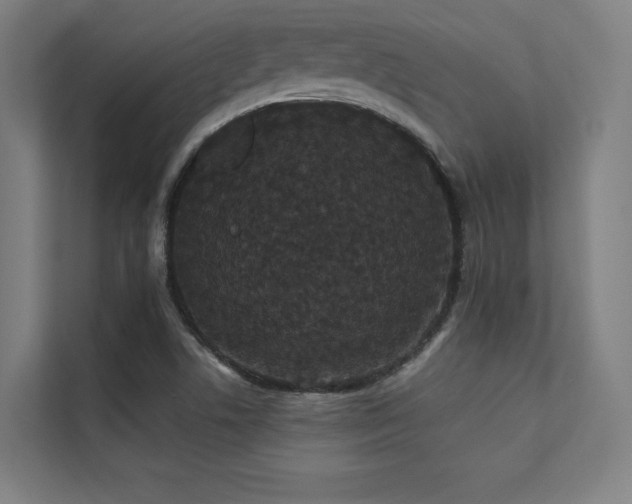 X0000112001506200908101311