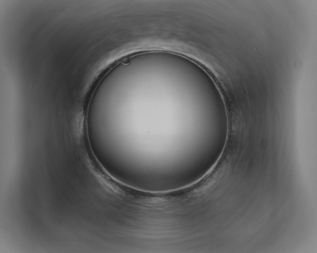 X0000112001507200908101311