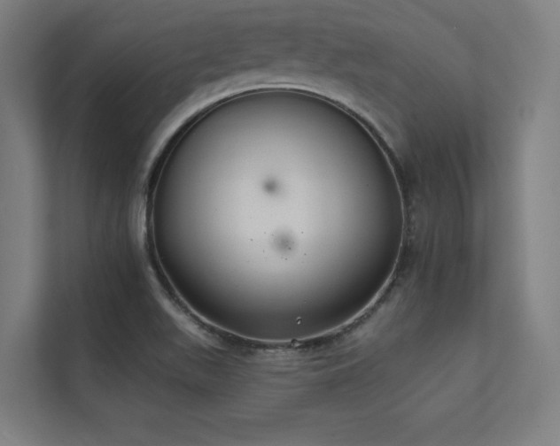 X0000112001511200908101312